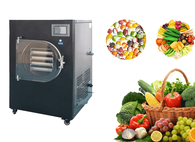 Fruit freeze dryer