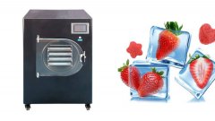 How to Freeze Dry Strawberries?