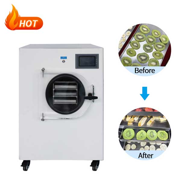 Small Lyophilizer Home Dry Freeze Machine Freeze Dryer Candy - Buy