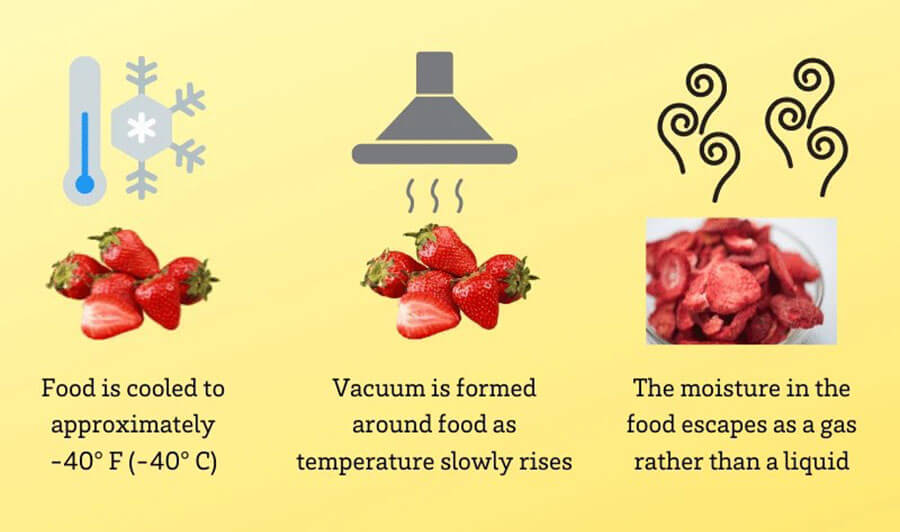 How does a freeze dryer work?