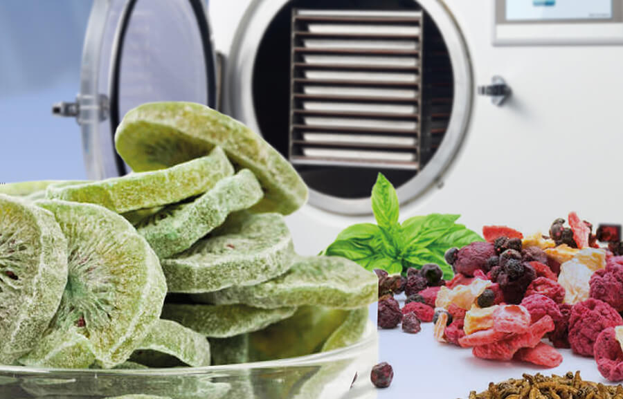 What is Freeze-Drying